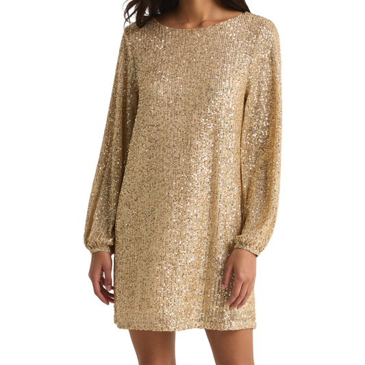 Andromeda Sequin Dress - BH&Co